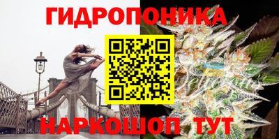 ГАЛЛЮЦИНОГЕННЫЕ ГРИБЫ Бийск